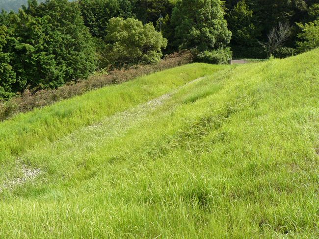 ���ێR�Õ�