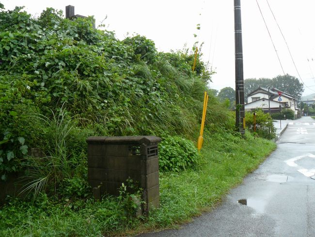 �O���y��