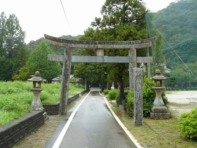 ���H�V�Ώ��_��