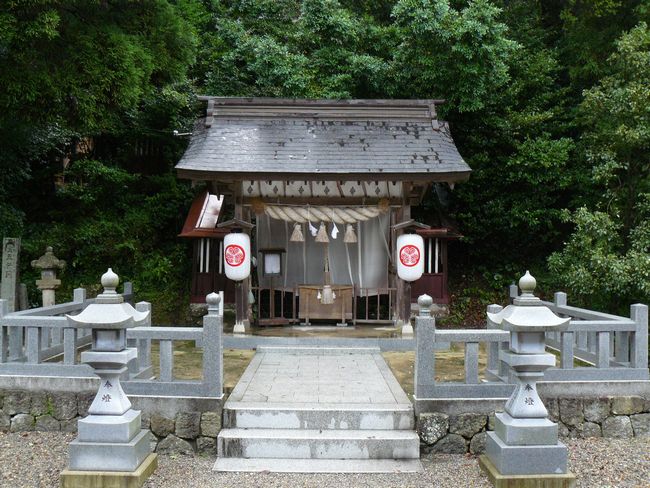 ���H�V�Ώ��_��