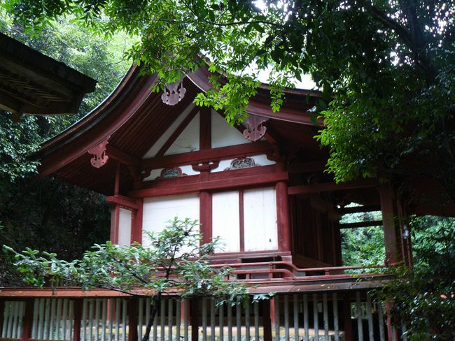 ���H�V�Ώ��_��