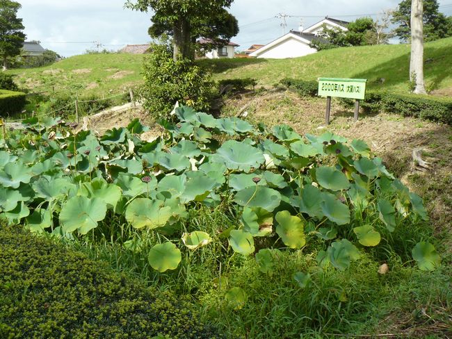 �{�v�ΒˌÕ�