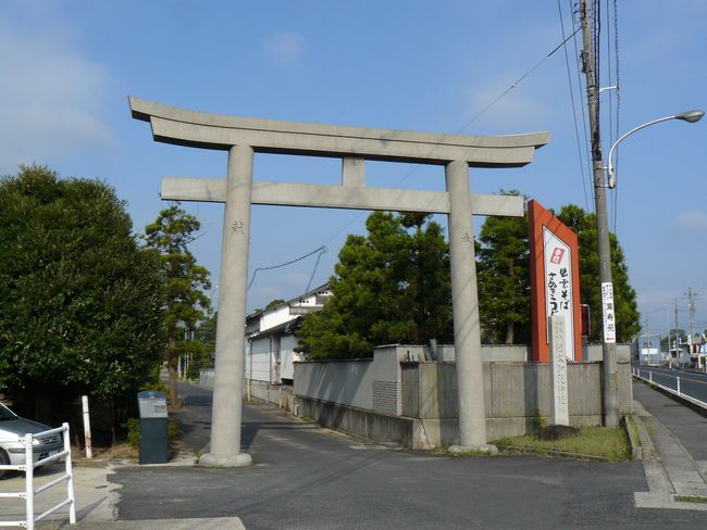 ��������_��