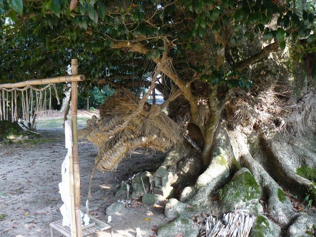 ��������_��