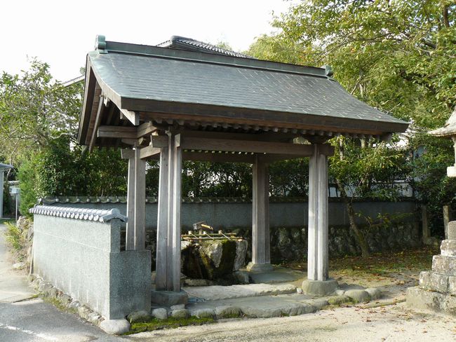 ��������_��