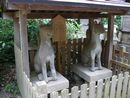 城山稲荷神社に参拝した小泉八雲と所縁のある石狐