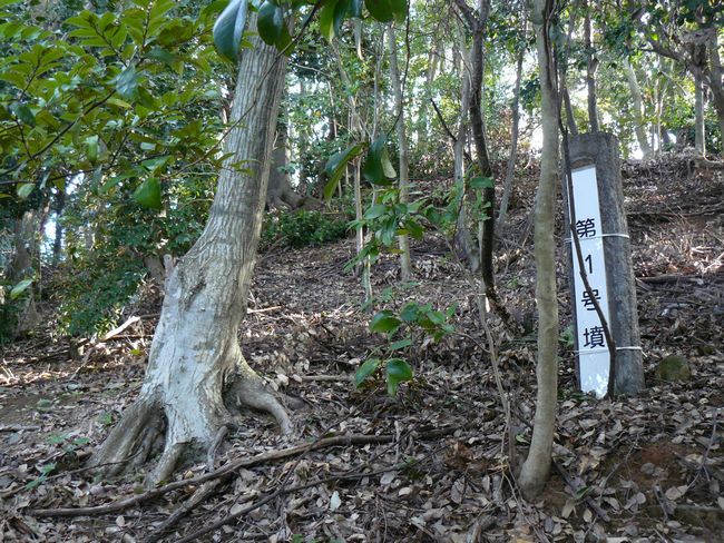 ����Õ��Q