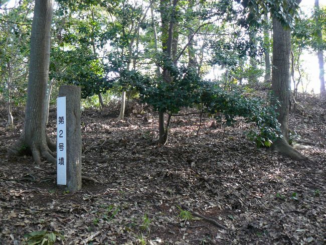 ����Õ��Q