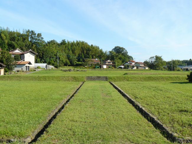 �o�_��������