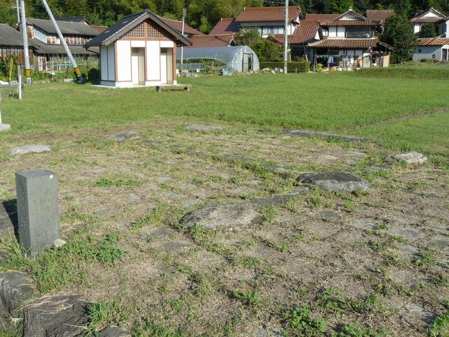 �o�_��������