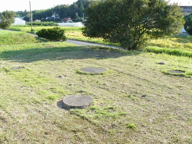 �o�_��������