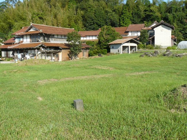 �o�_��������