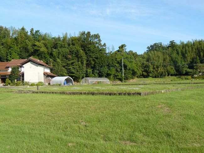 �o�_��������