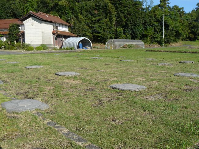 �o�_��������