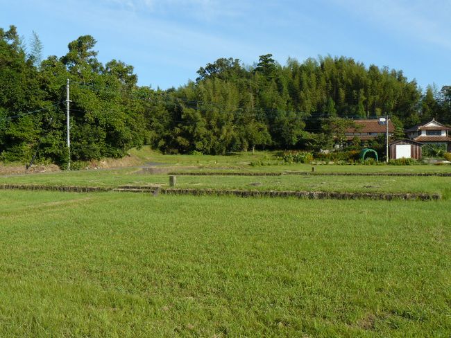 �o�_��������