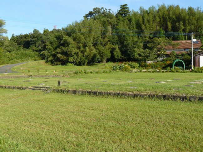 �o�_��������