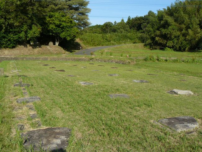 �o�_��������