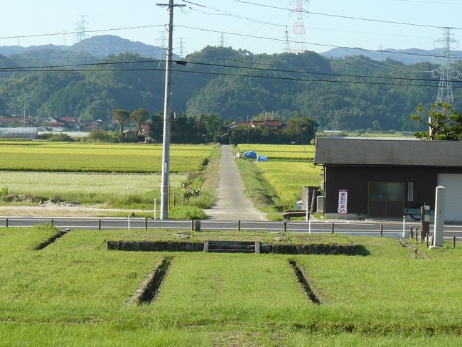 �o�_��������