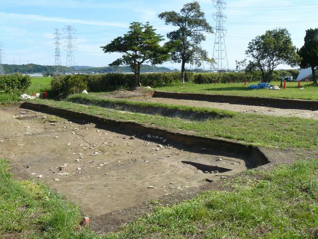 �o�_������