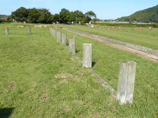 �o�_������