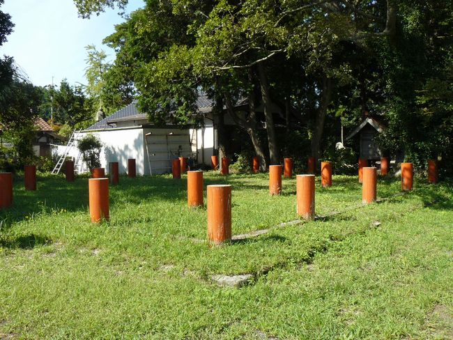 �o�_������