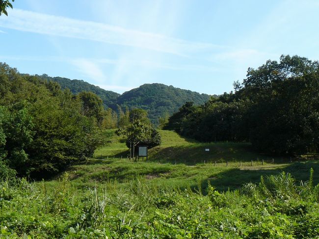 ���c�R�Õ�