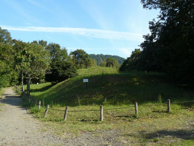 ���c�R�Õ�