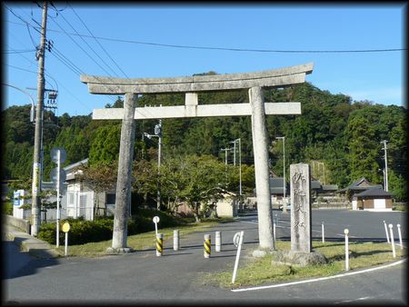 �����_��