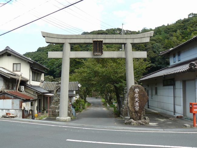 �����V���{