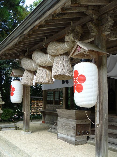 �����V���{