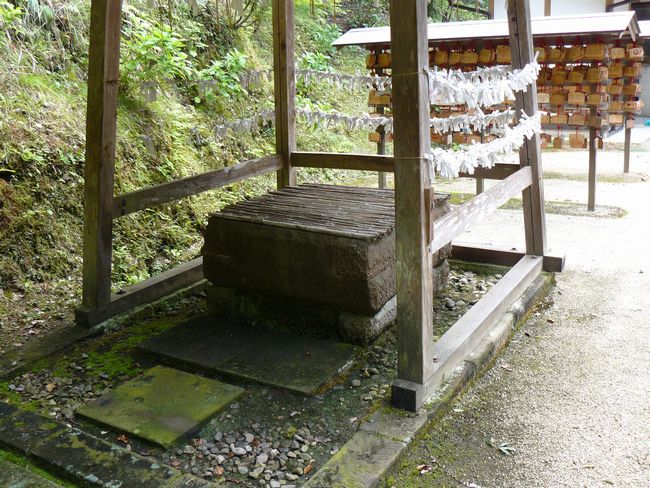 �����V���{