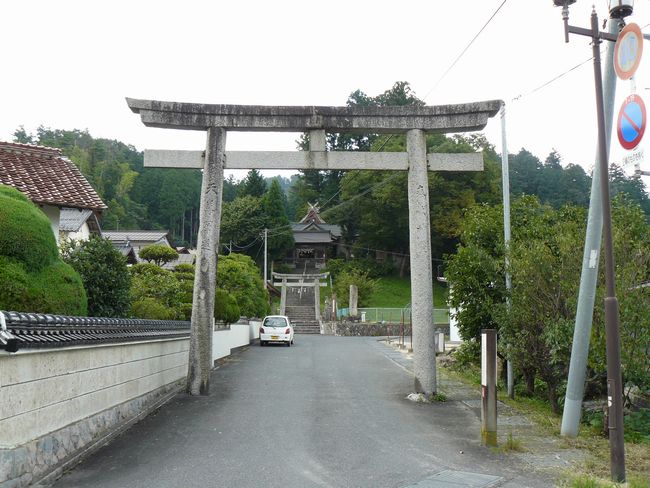 �ɉꑽ�C�_��