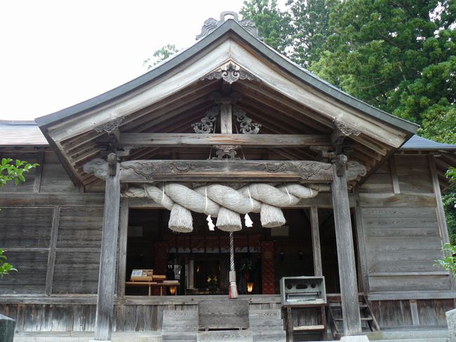 �ɉꑽ�C�_��