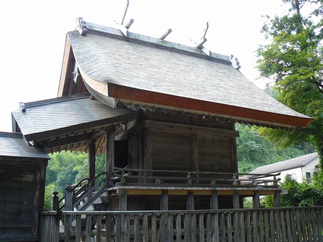 �ɉꑽ�C�_��