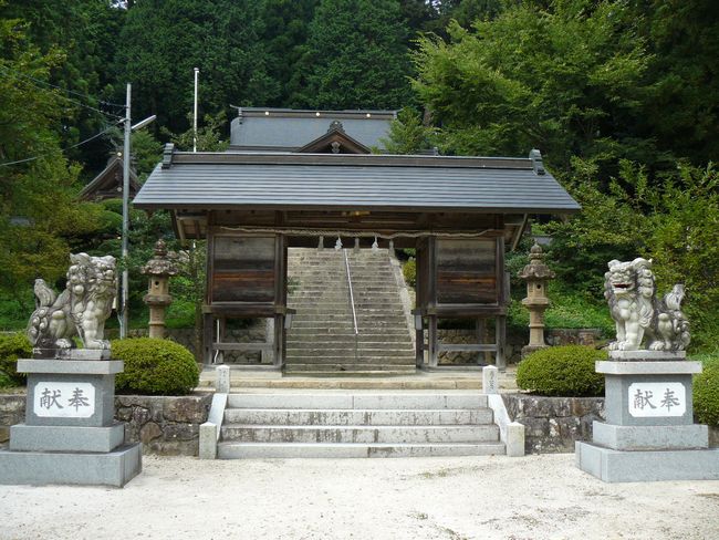 ���c�����{