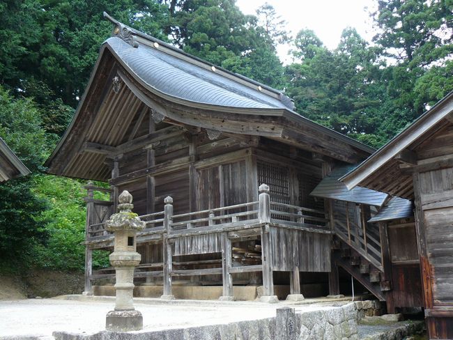 ���c�����{