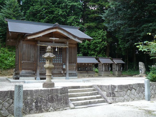 ���c�����{