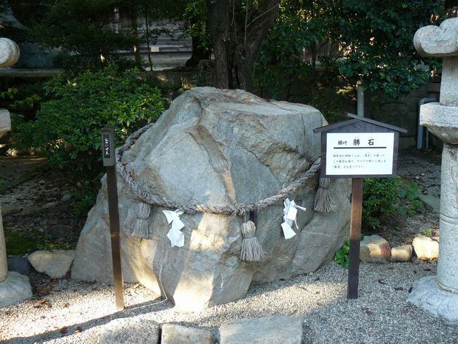 �����_��