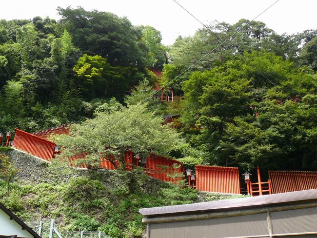 ��ꉒJ��_��