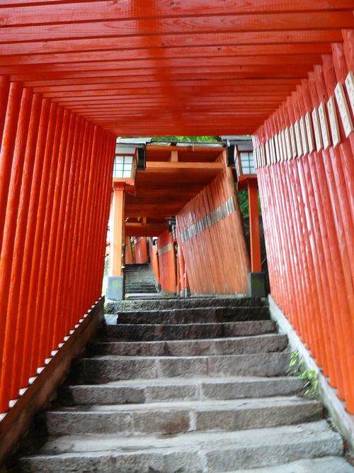 ��ꉒJ��_��