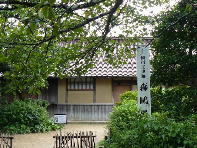 �X���O����