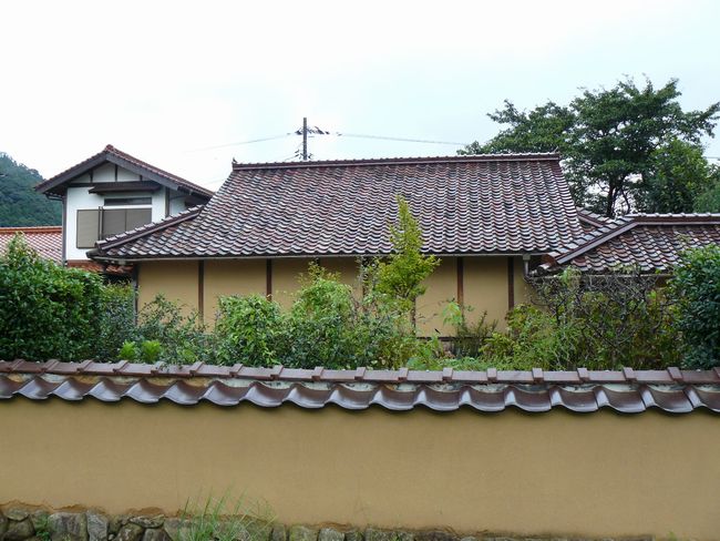 �X���O����