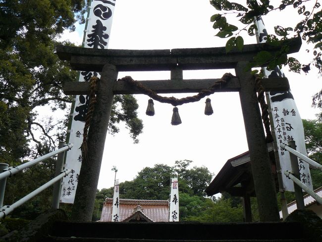 �O�n�����{