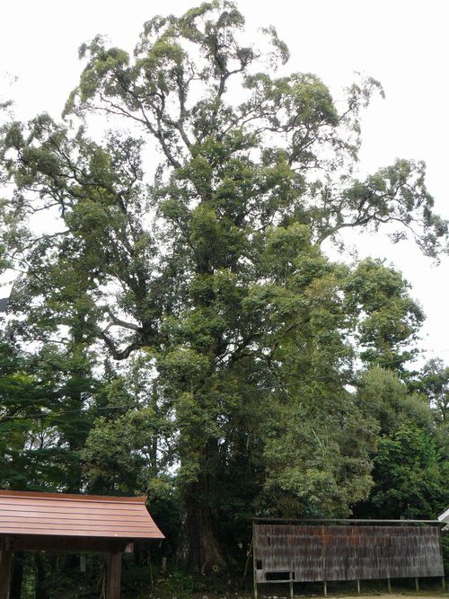 �O�n�����{