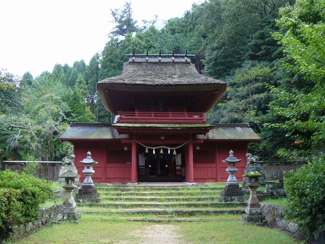 �h�������{