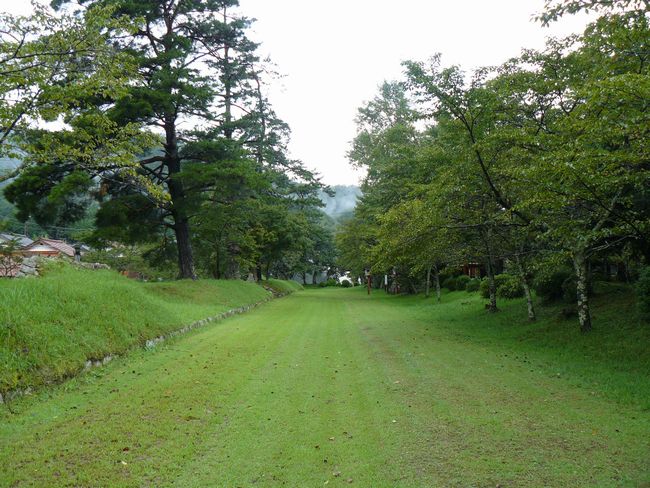 �h�������{