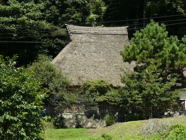 �i�䗲���m���������̉�