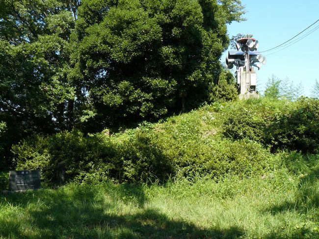 �O������