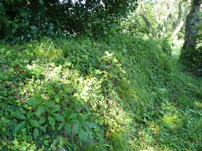 �O������