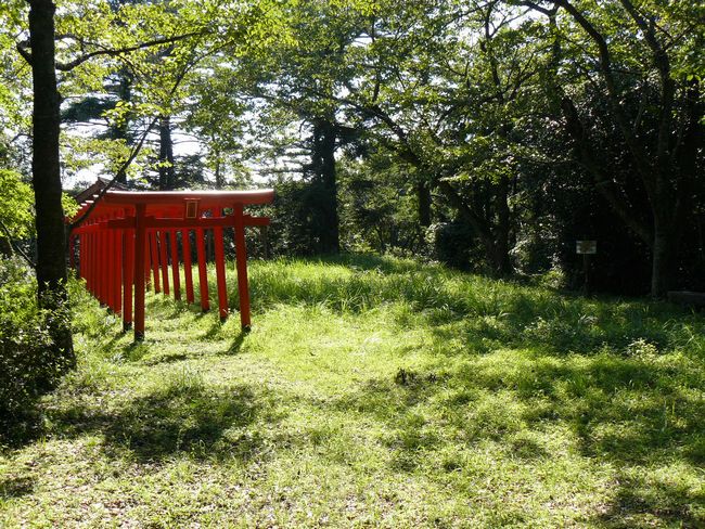 �O������